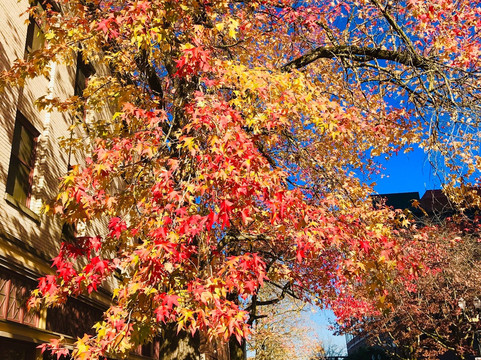 波特兰达尼韦希尔顿酒店主图