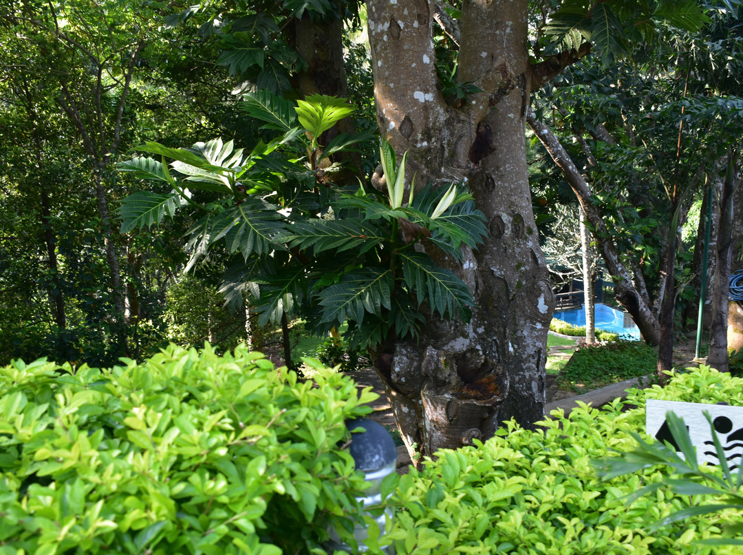 Man Mountain Villa主图