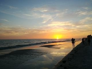 Blue Waters Treasure Island