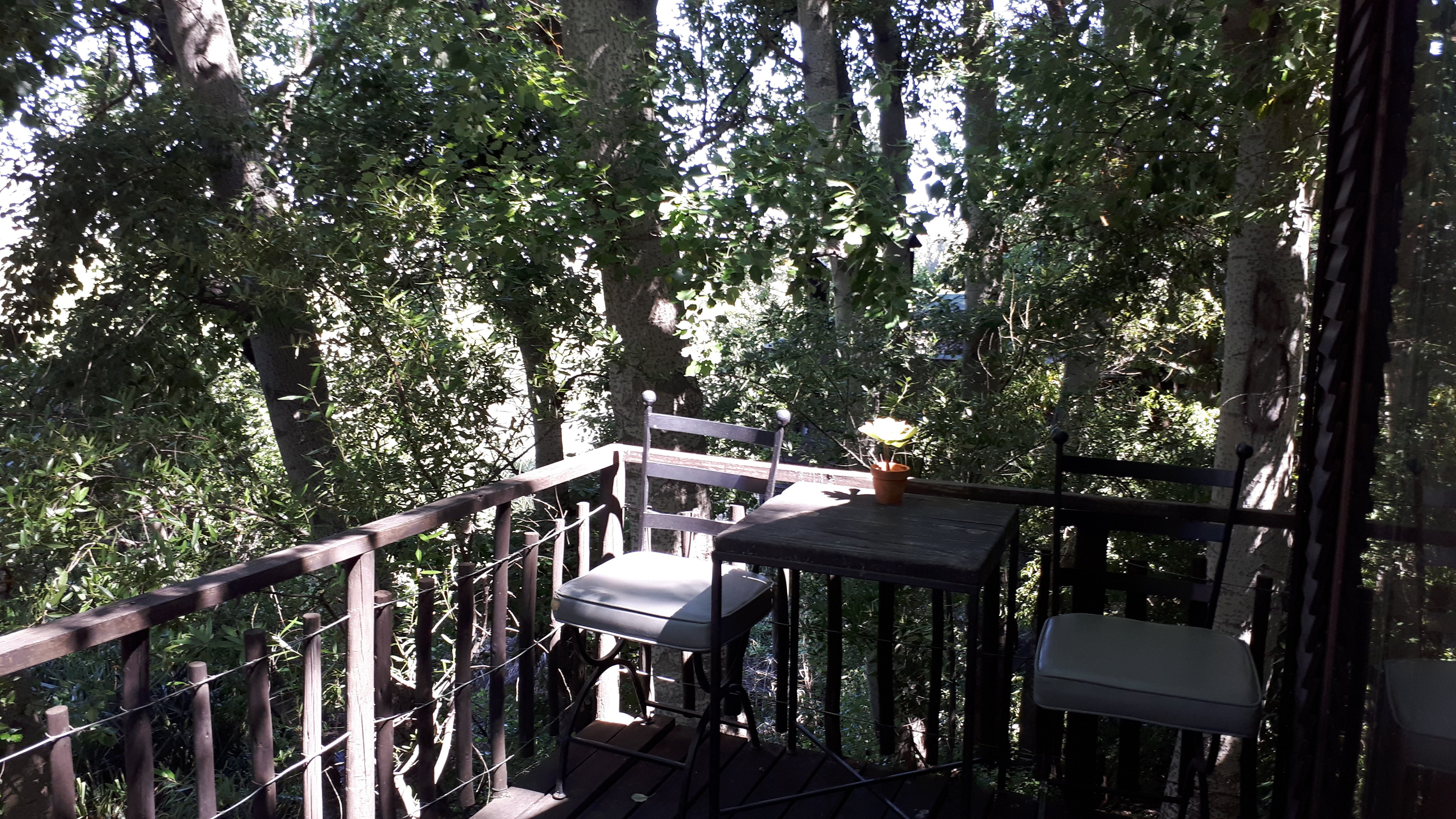 Kardouw Country Retreat - Tree Tops-酒店景观