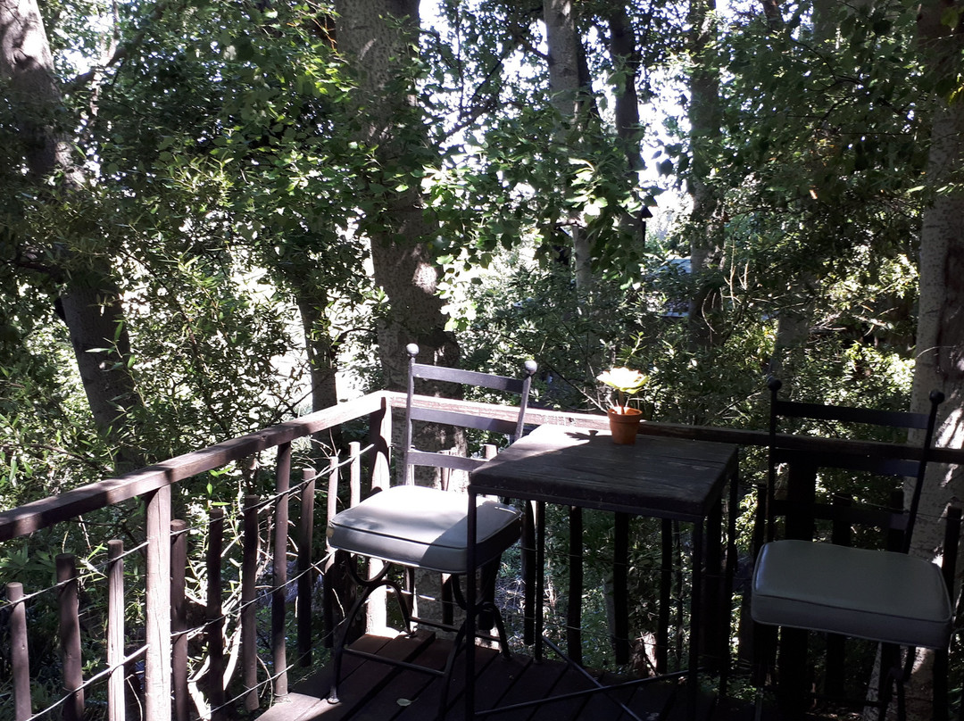 Kardouw Country Retreat - Tree Tops主图