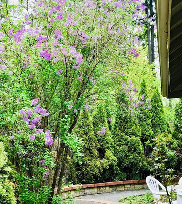 Auberge French Specialty Cooking School-伍丁维尔必去景点