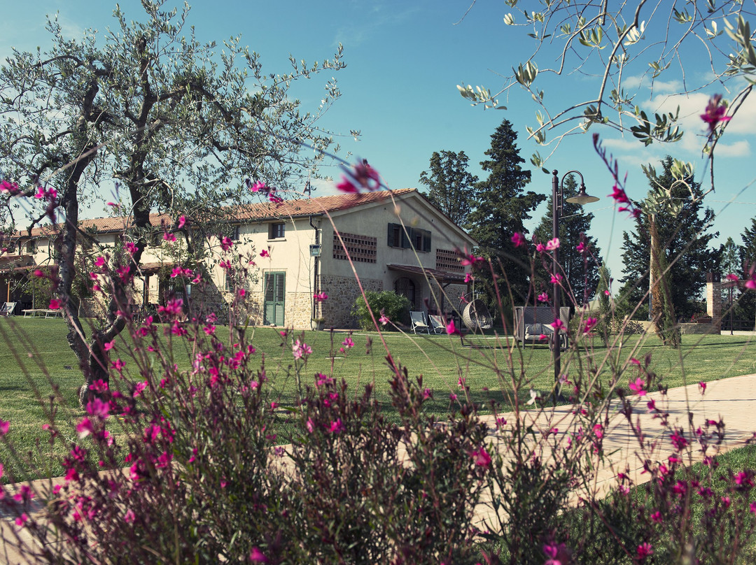 Diacceroni Agriturismo Biologico主图