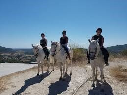 Horse Riding Center Picadeiro d'Arrábida-Vila Nogueira de Azeitao必去景点