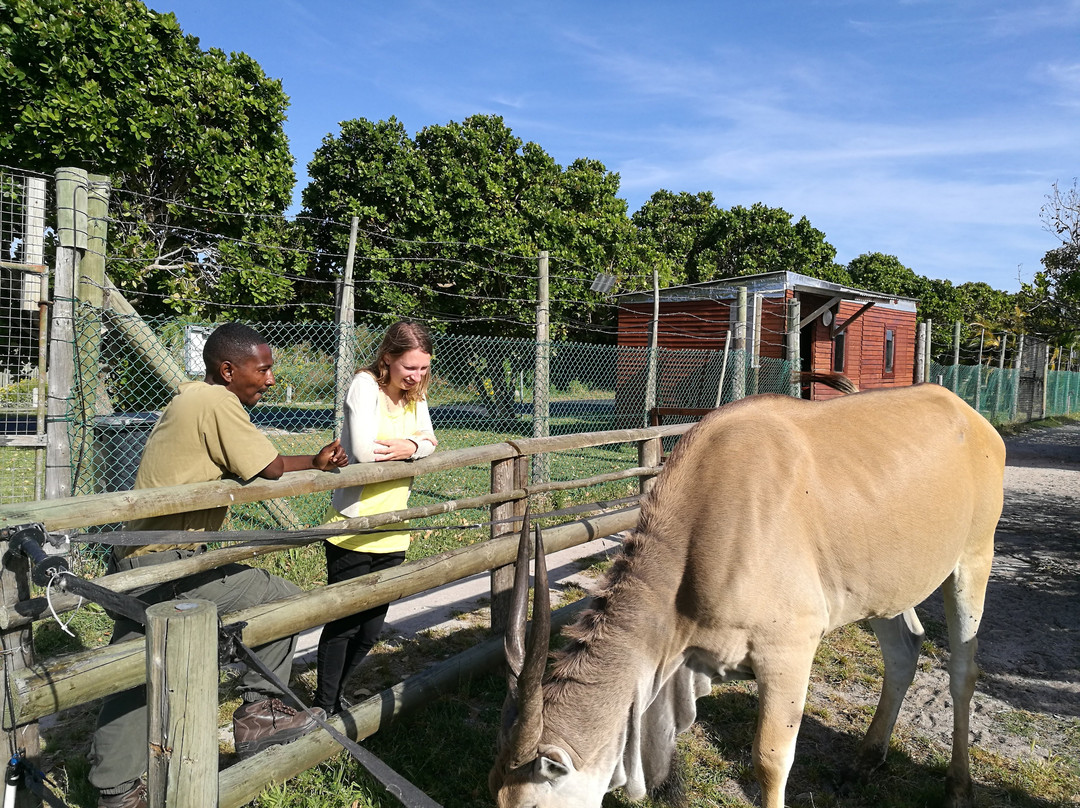 Aunty Nita's Tours-Grassy Park必去景点