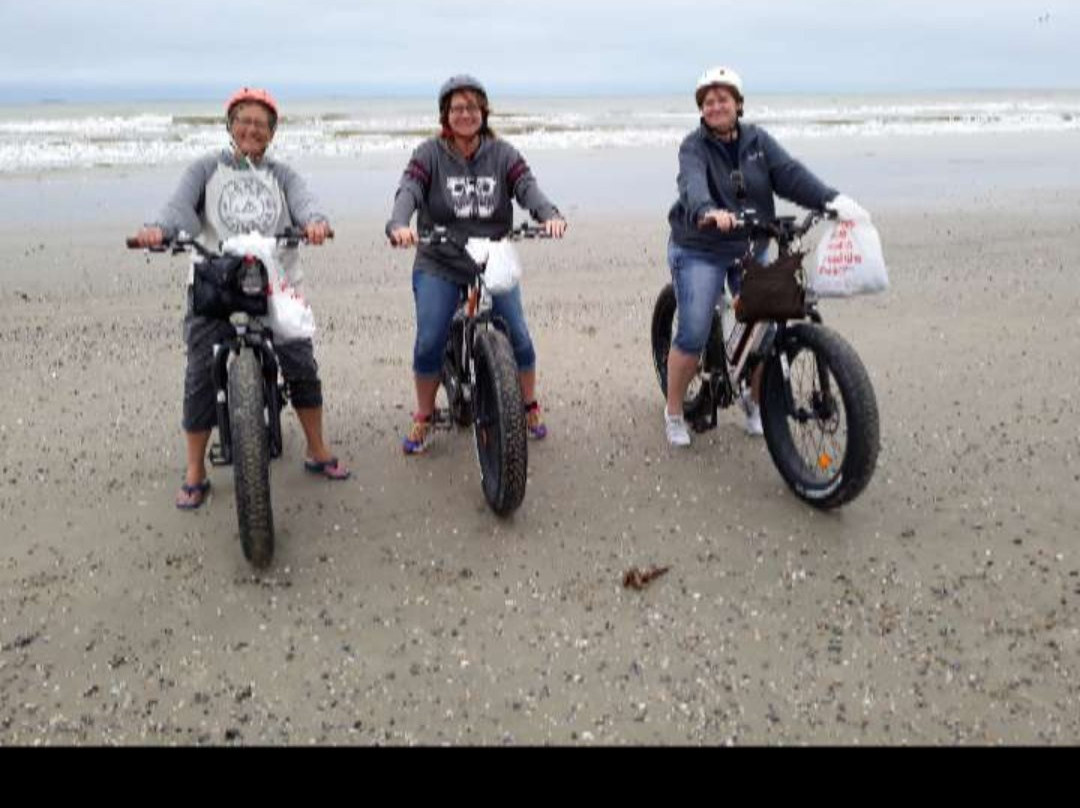 Zipp E-Bikes-盖维斯顿必去景点