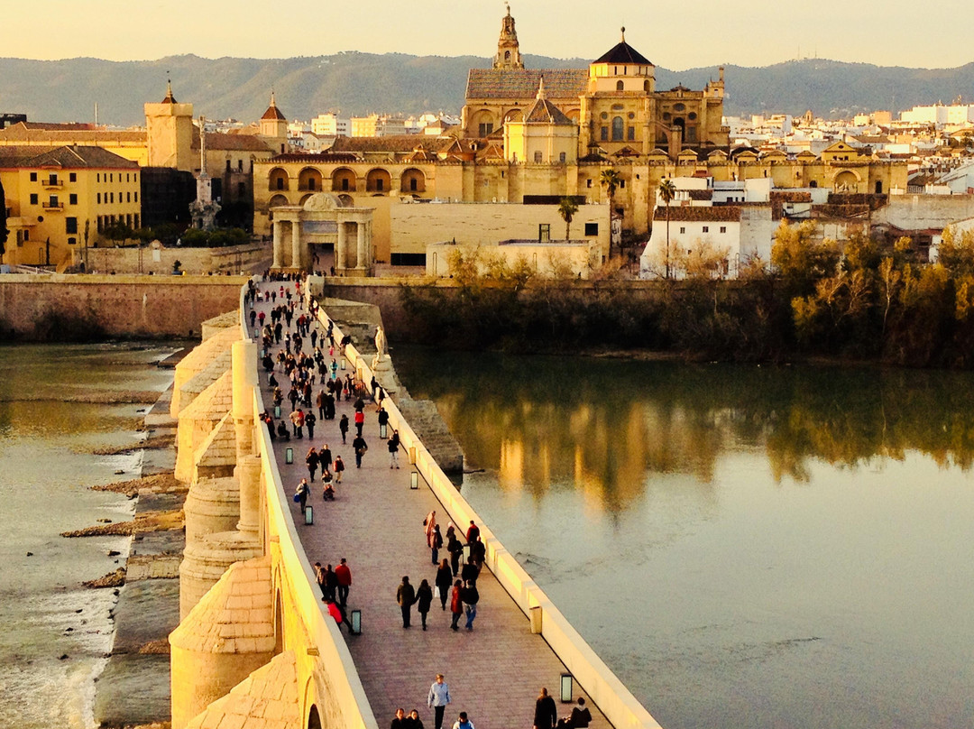 Malaga Private Day Trips景点图片