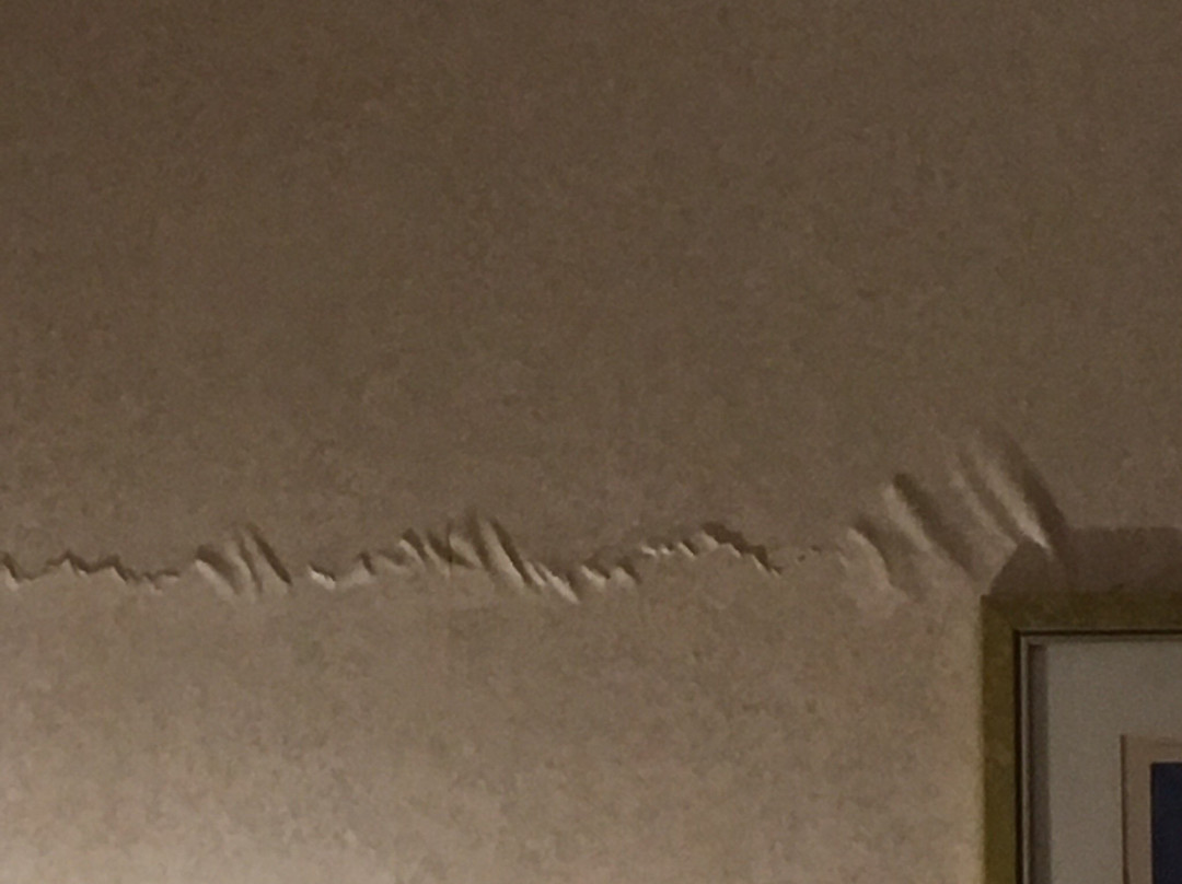 Romantikhotel Altenberger Hof主图