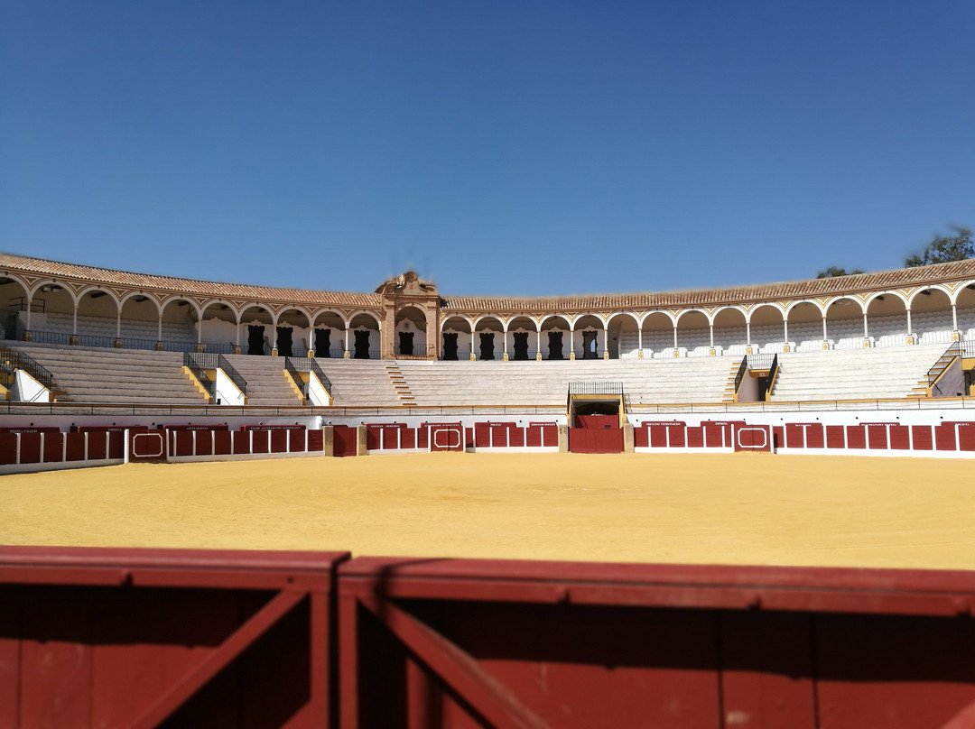 Bullfighting Museum景点图片