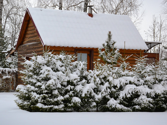 Picnic Grounds-新西伯利亚必去景点