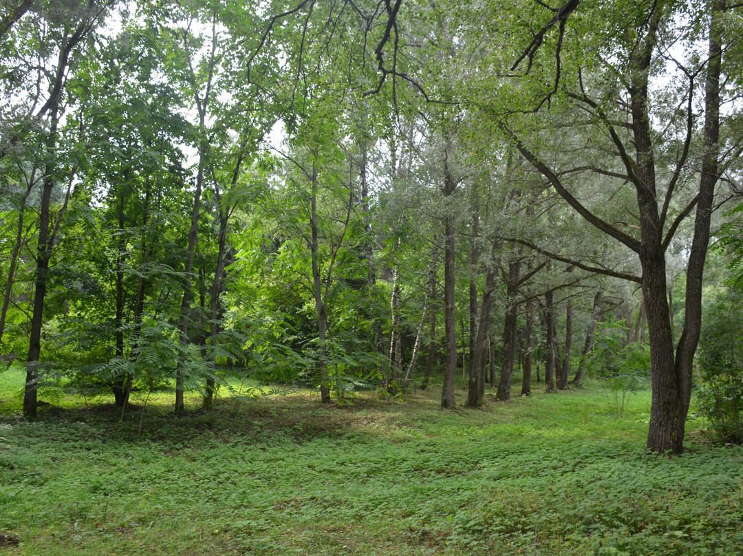 Pereslavskiy Arboretum Named After S.F. Kharitonov景点图片