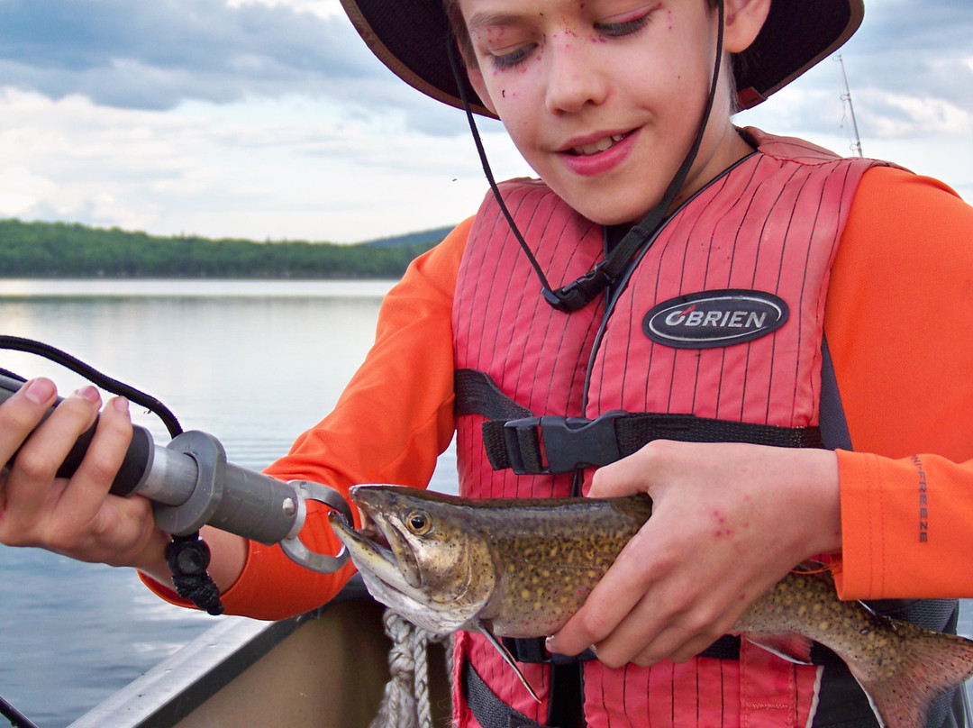 Mike Kinney Maine Guide-卡姆登必去景点