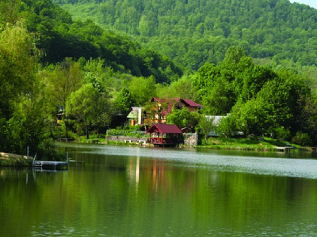 Lacul Mujdeni景点图片