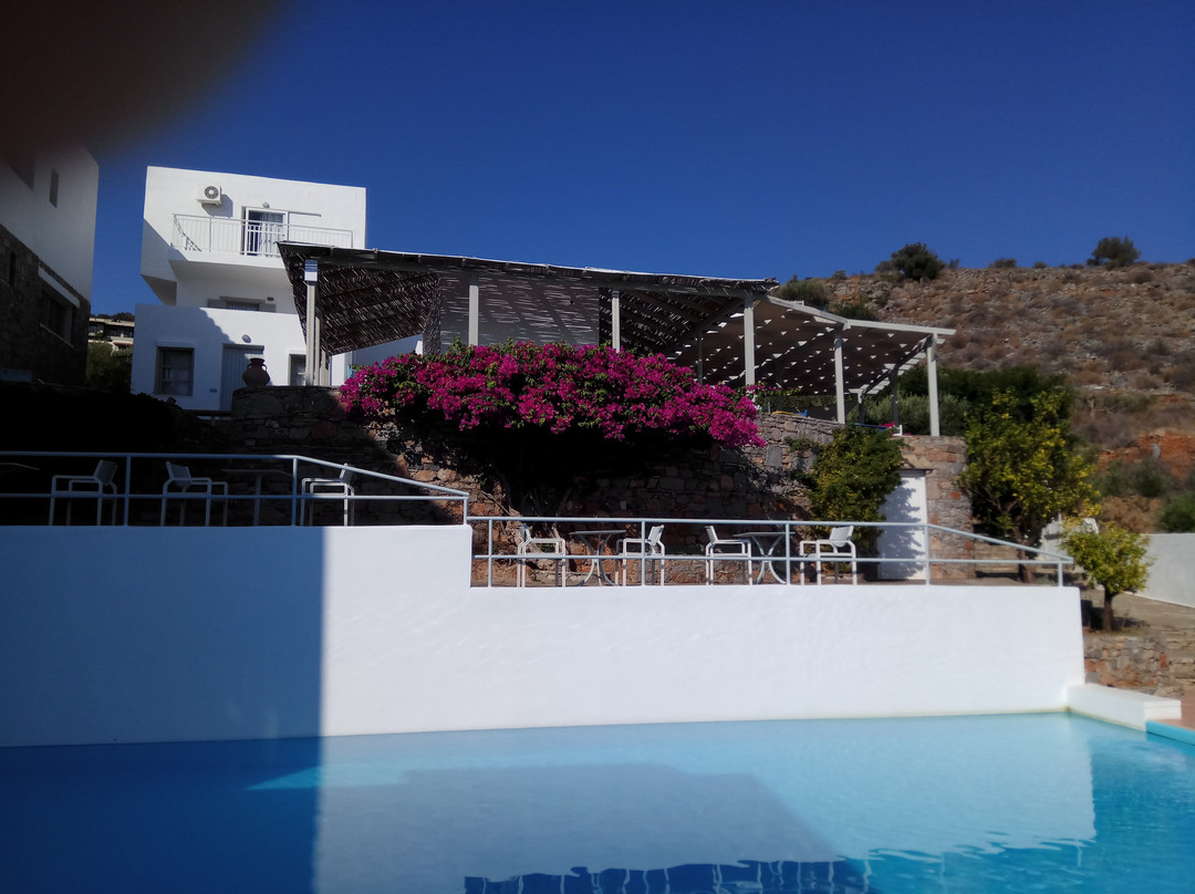 Selena Village主图