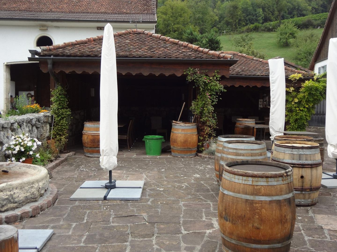 Auberge de la Gabiare主图