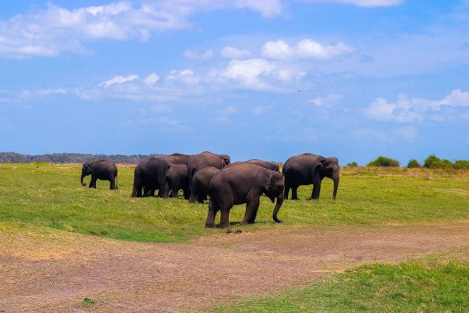 IPHA Lanka Tours景点图片