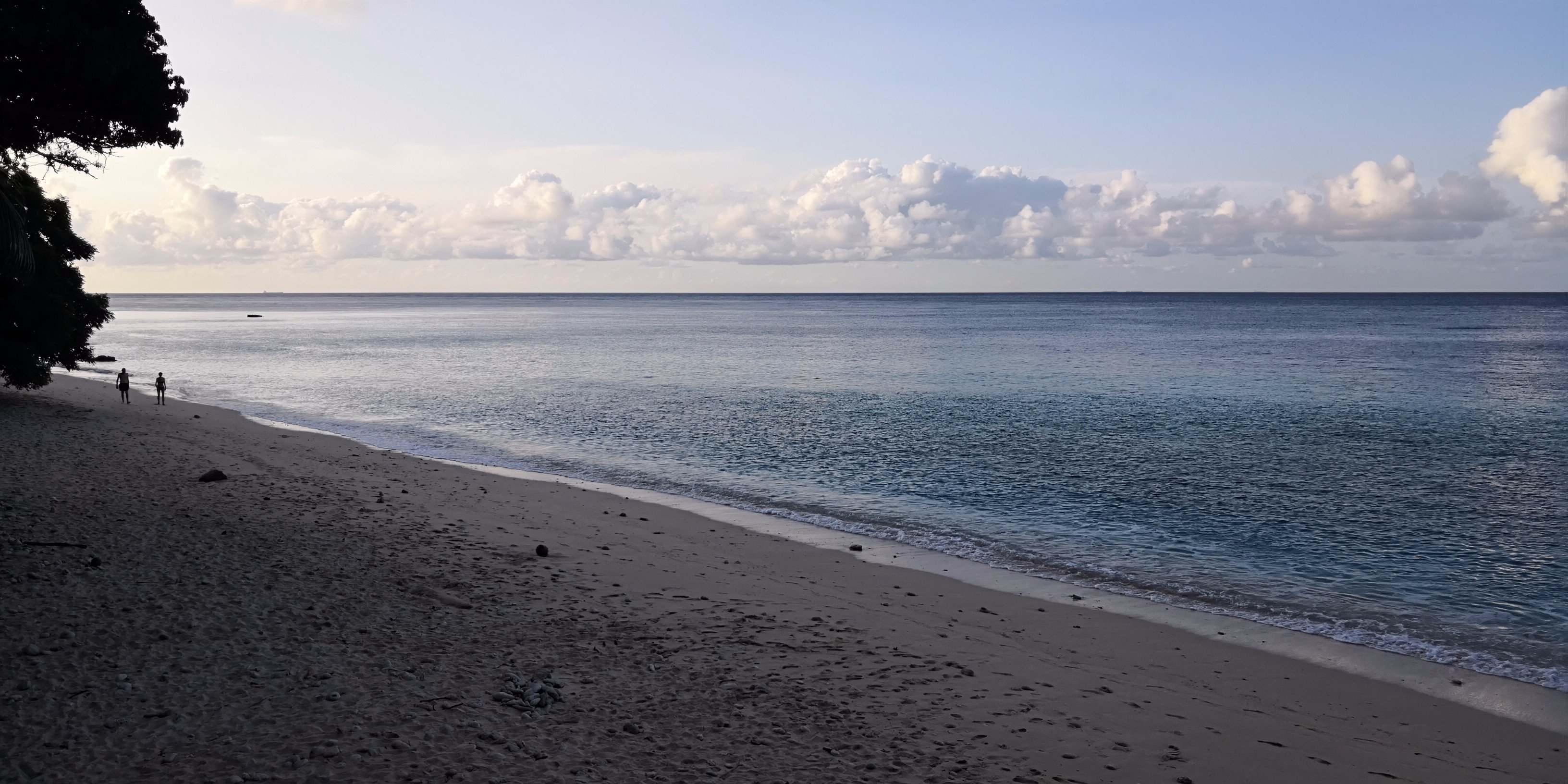 Casa Nemo Beach Resort and SPA-餐饮