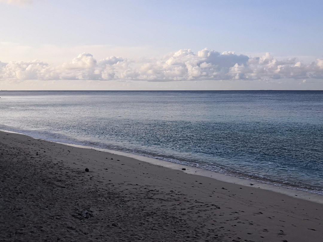 Casa Nemo Beach Resort and SPA主图