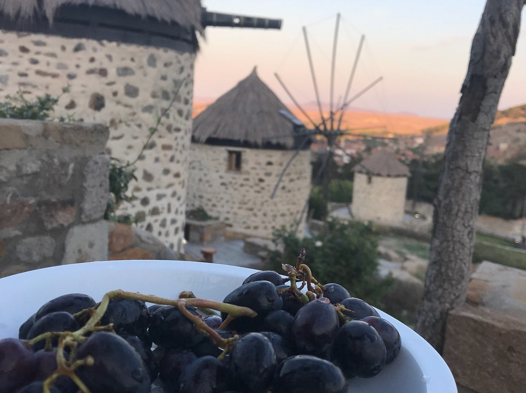 Limnos Windmills主图