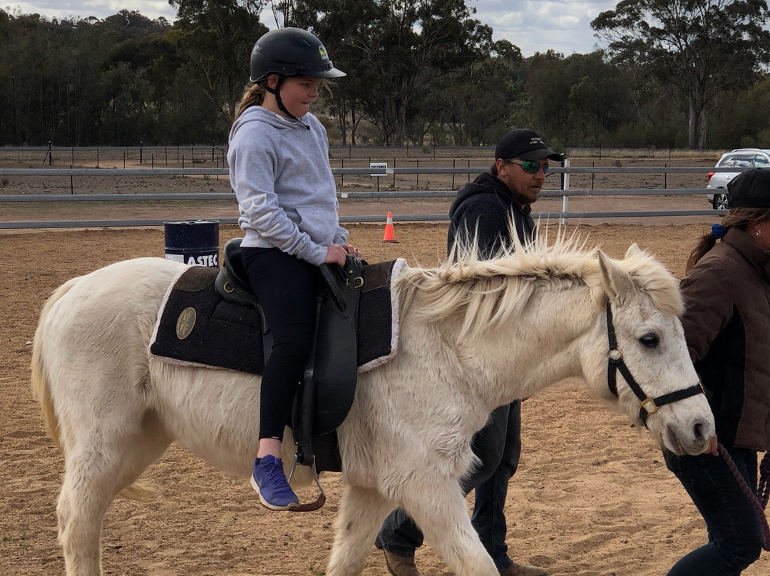 Outback Pony Rides-达博必去景点