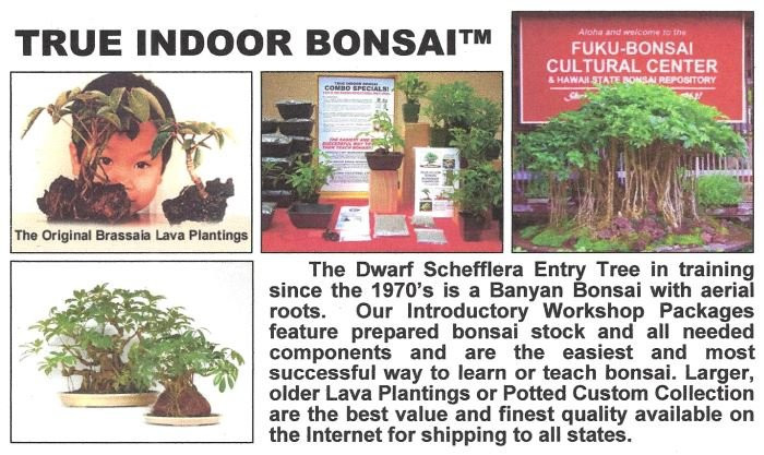 Fuku Bonsai Cultural Center-柯蒂斯城必去景点