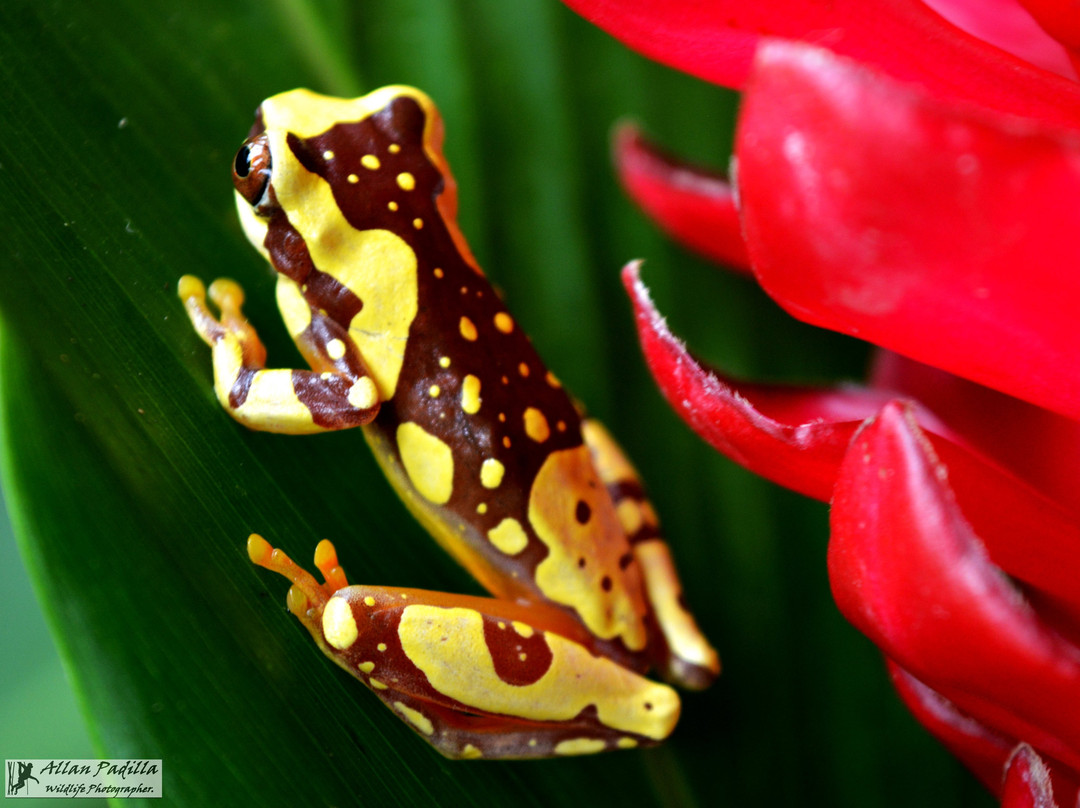 Canto del Mar Guest House and Botanical Garden主图