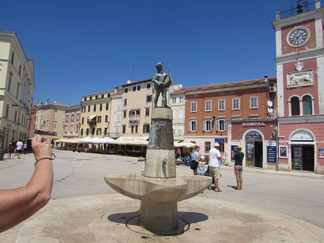 Fountain on Main Square-罗维尼必去景点