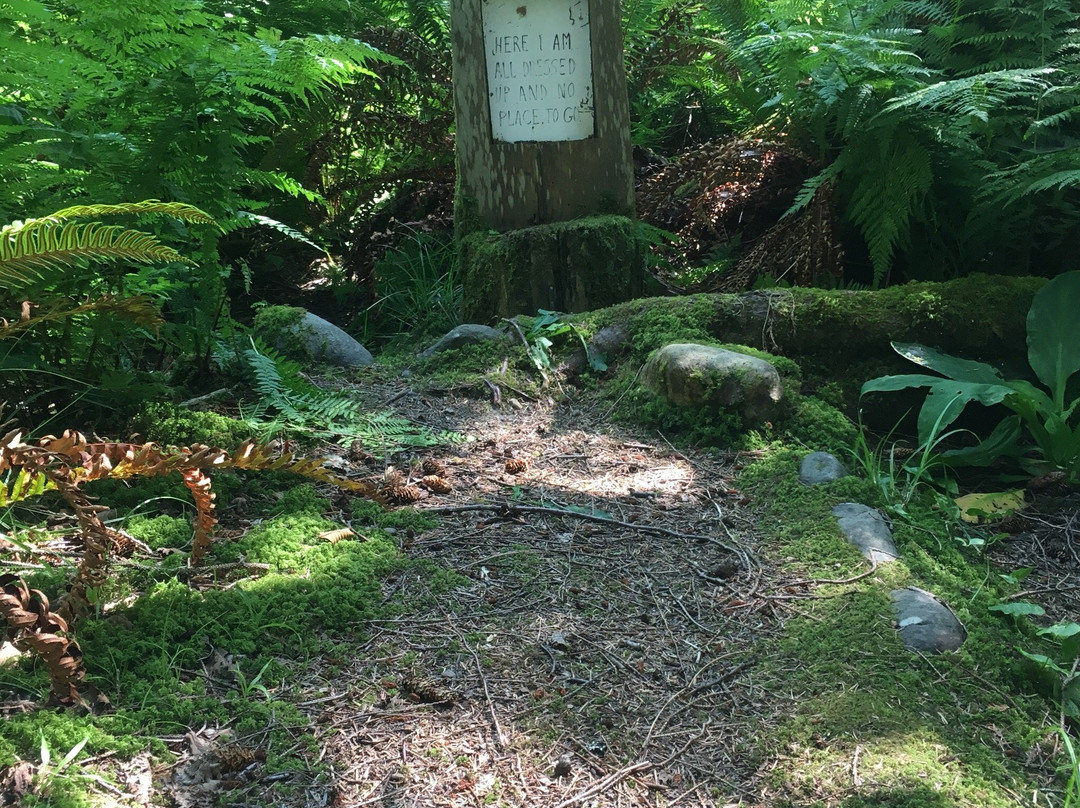 Wacky woods-Fanny Bay必去景点