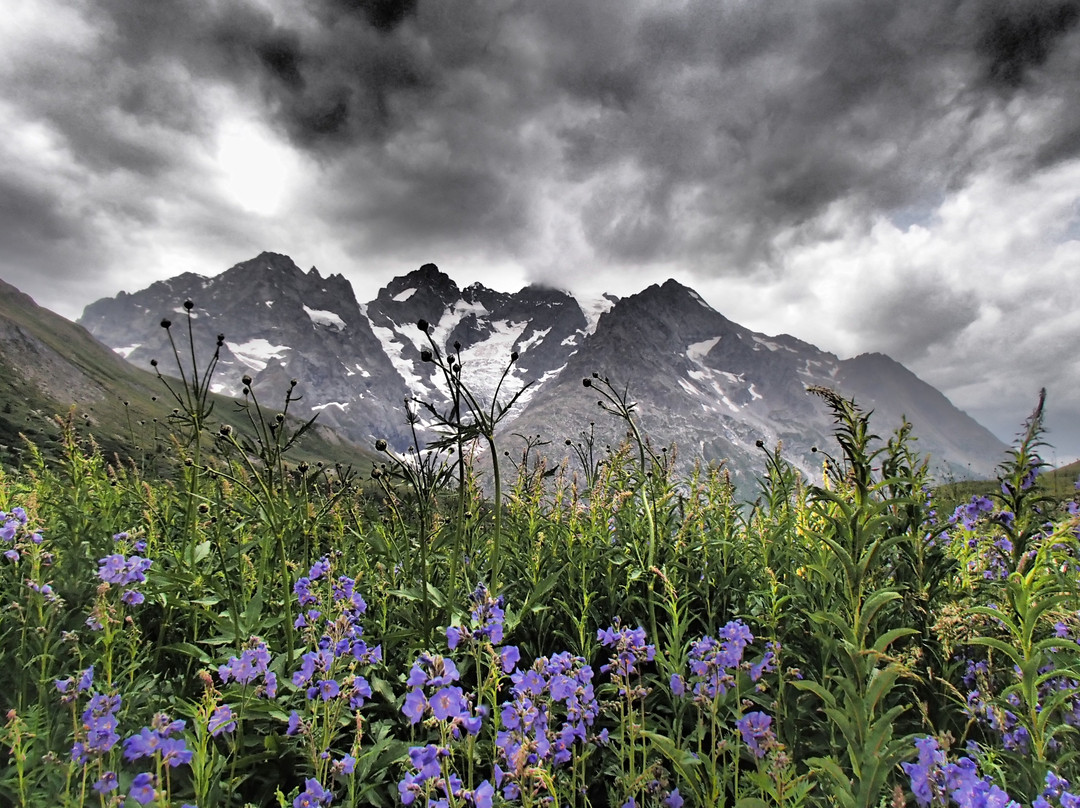 La Grave旅游景点-Jardin Botanique Alpin du Lautaret