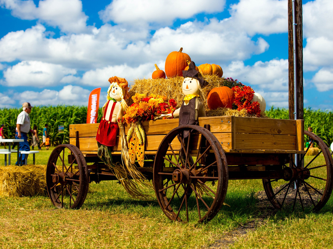 Rockin' K Farms-Robstown必去景点