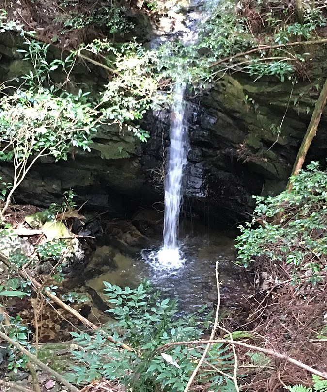 Kurokomichi-桥本市必去景点