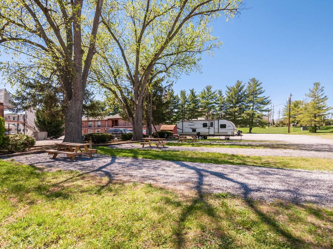 Rodeway Inn & Suites主图