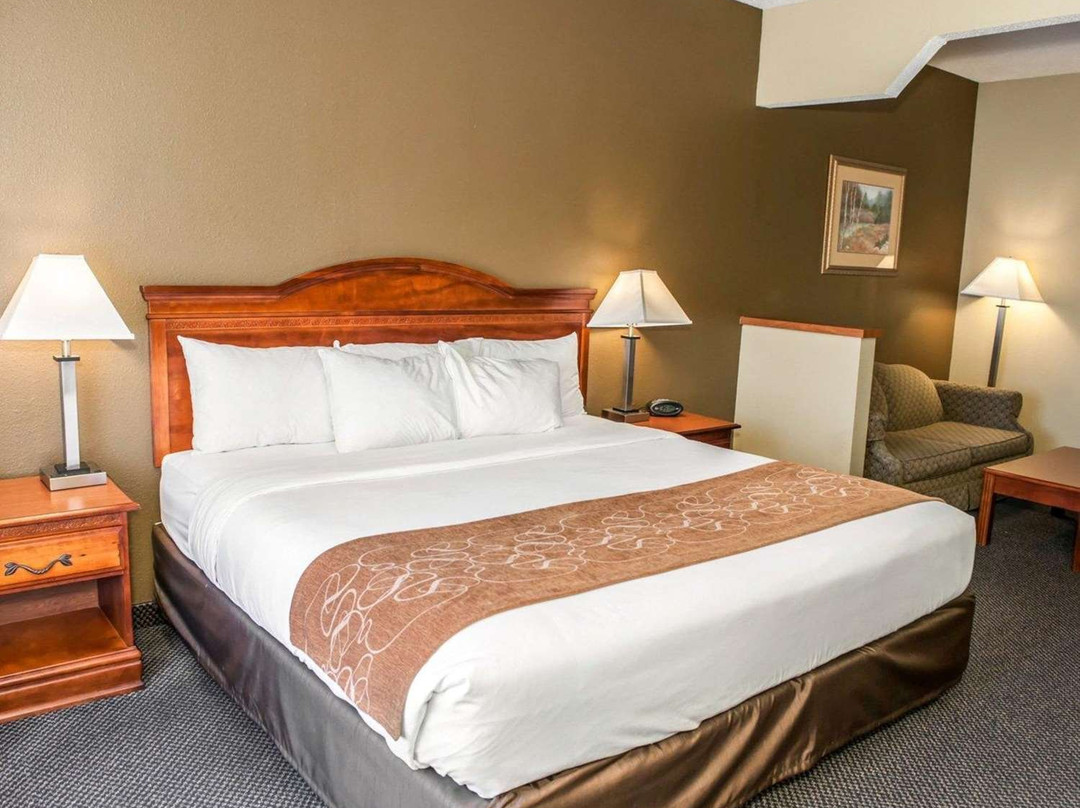 Comfort Suites Auburn Near I-69主图