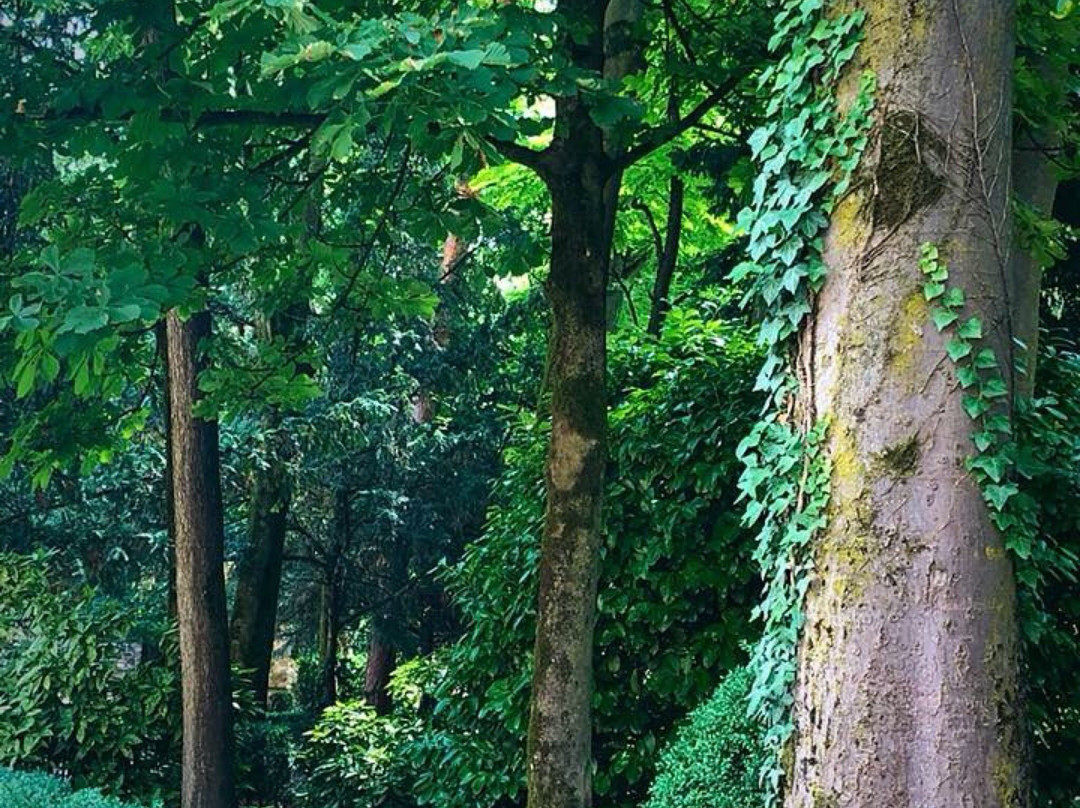 Grazzano Visconti旅游攻略图片
