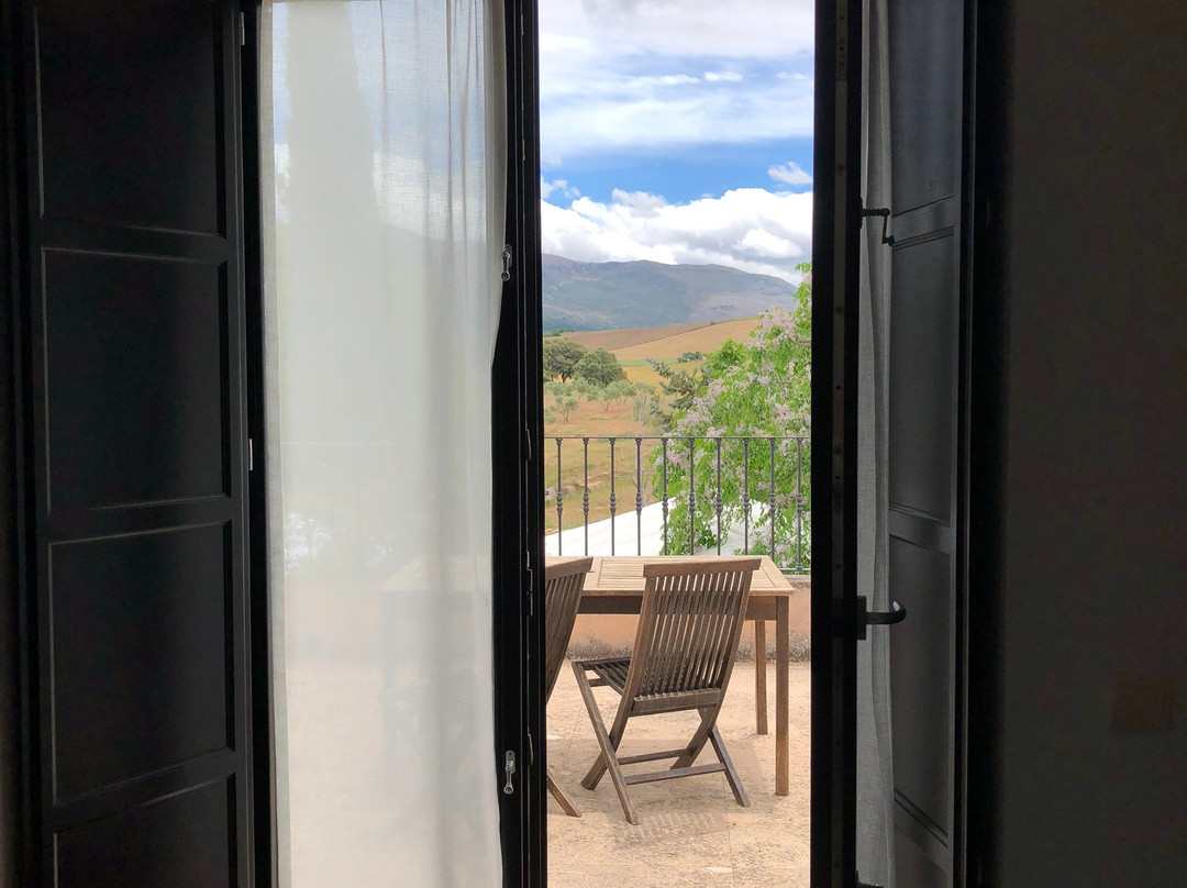 Hotel Bodega El Juncal主图