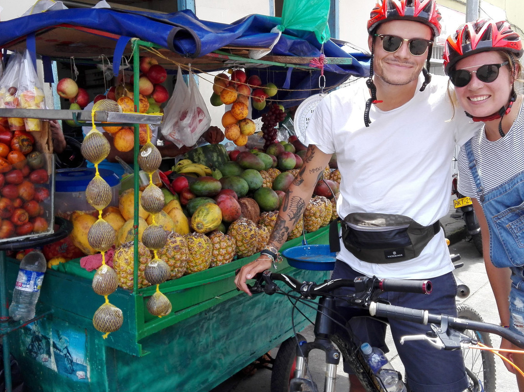 Filandia Bike-Filandia必去景点