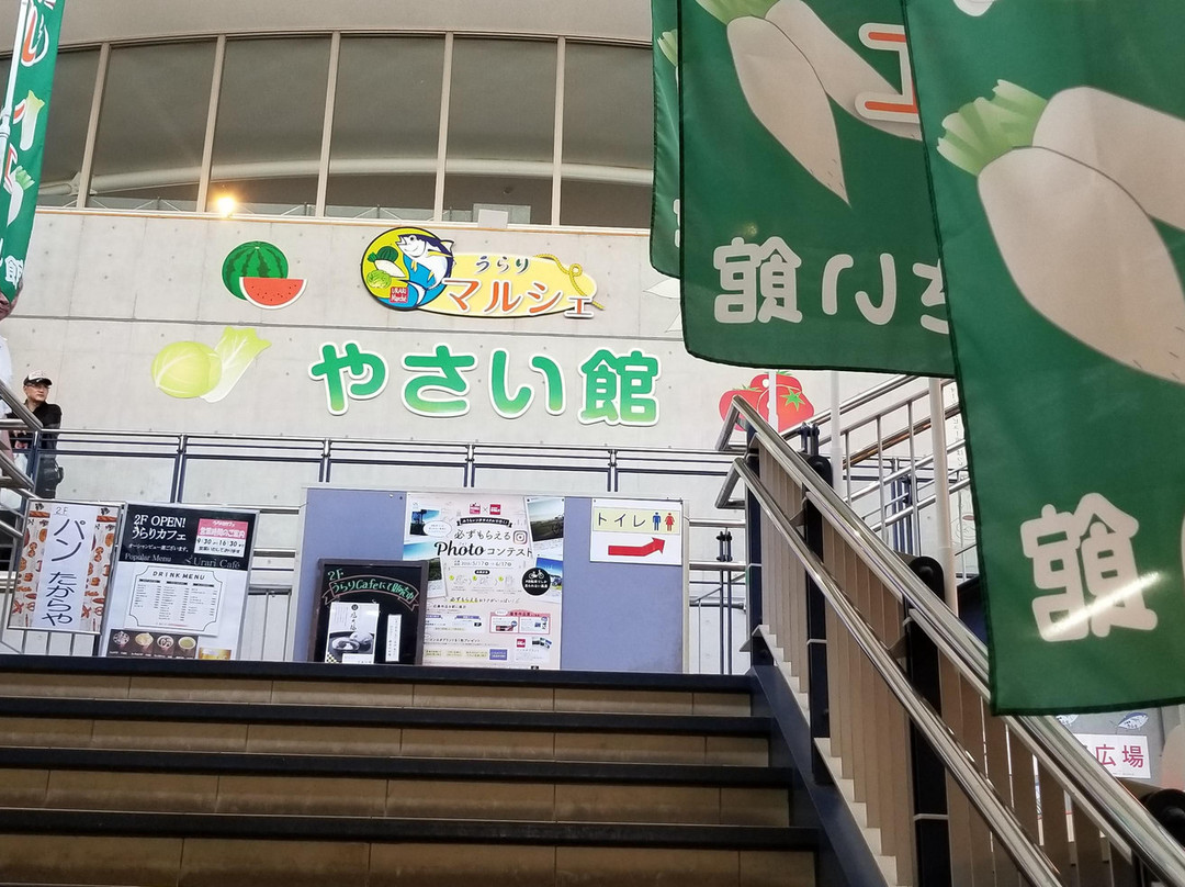 Urari-三浦市必去景点