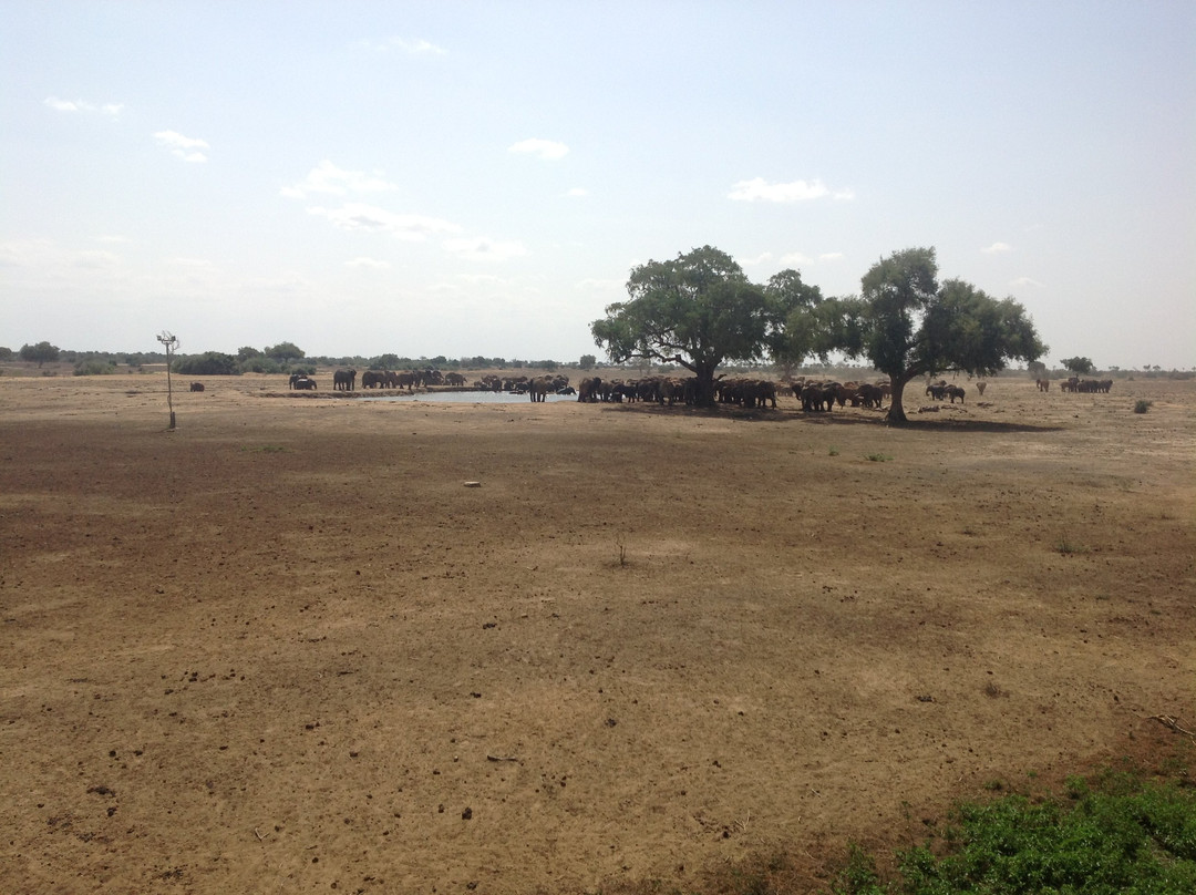 Tact Private Transfers and Day Trips-内罗毕必去景点