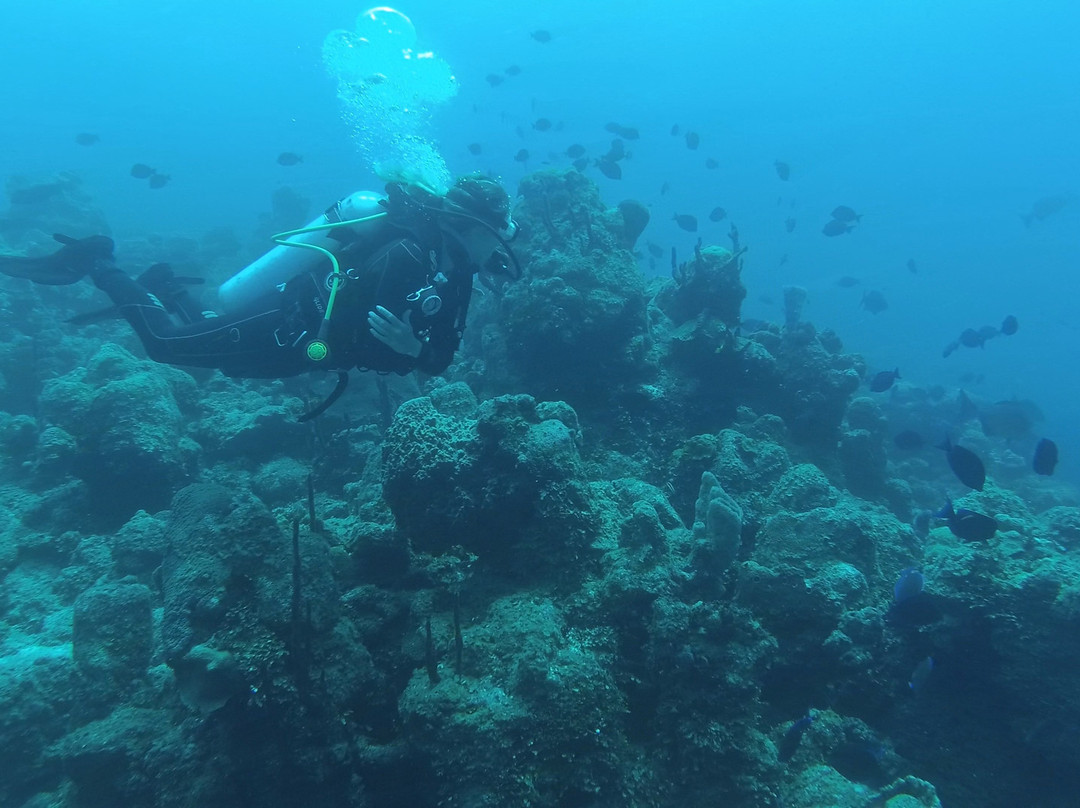 Parque Nacional de Arrecifes-Xcalak必去景点