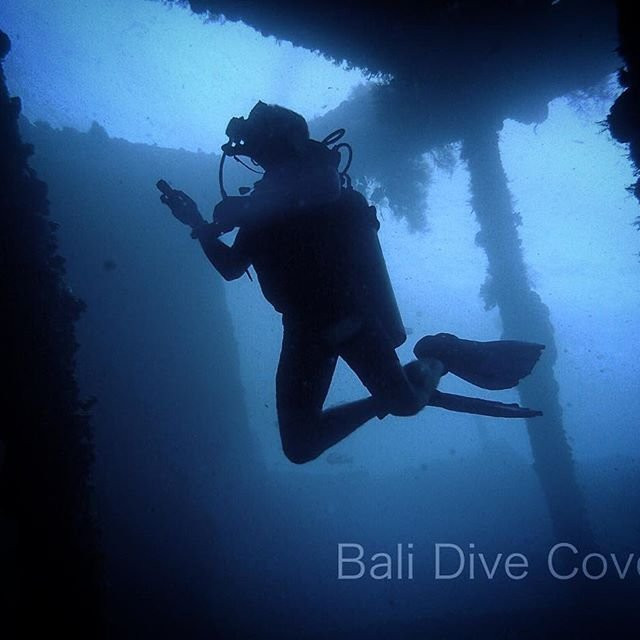 Bali Dive Cove景点图片