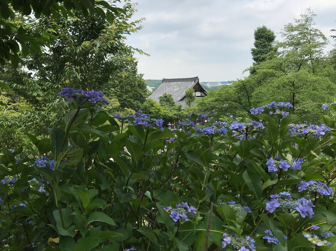 Kinsen-ji Temple-岚山町必去景点