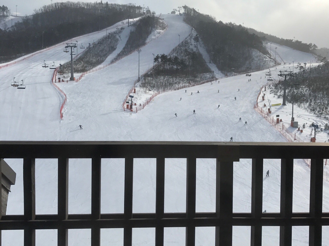 Alpensia Ski Jump Lounge景点图片