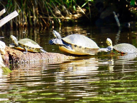 Palm Bay Marina-Palm Bay必去景点