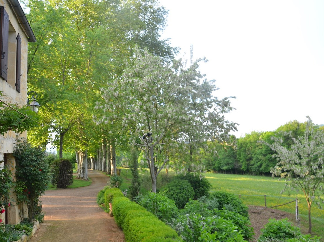 La Guérinière主图