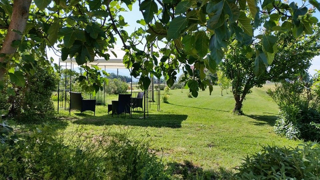 玫瑰住宿加早餐旅馆主图