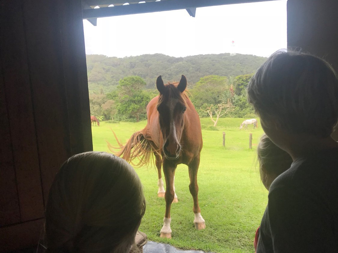 The Haven Hotel主图