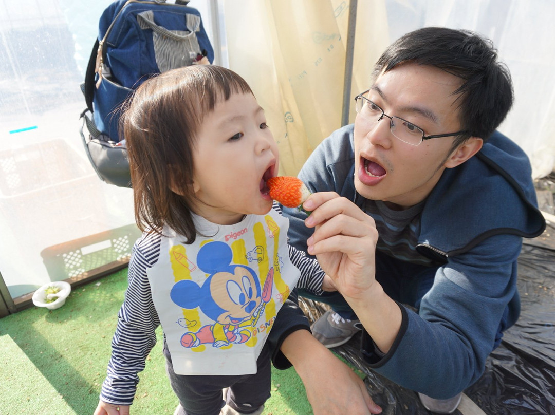 JA Hagano Mashiko Strawberry Picking-益子町必去景点