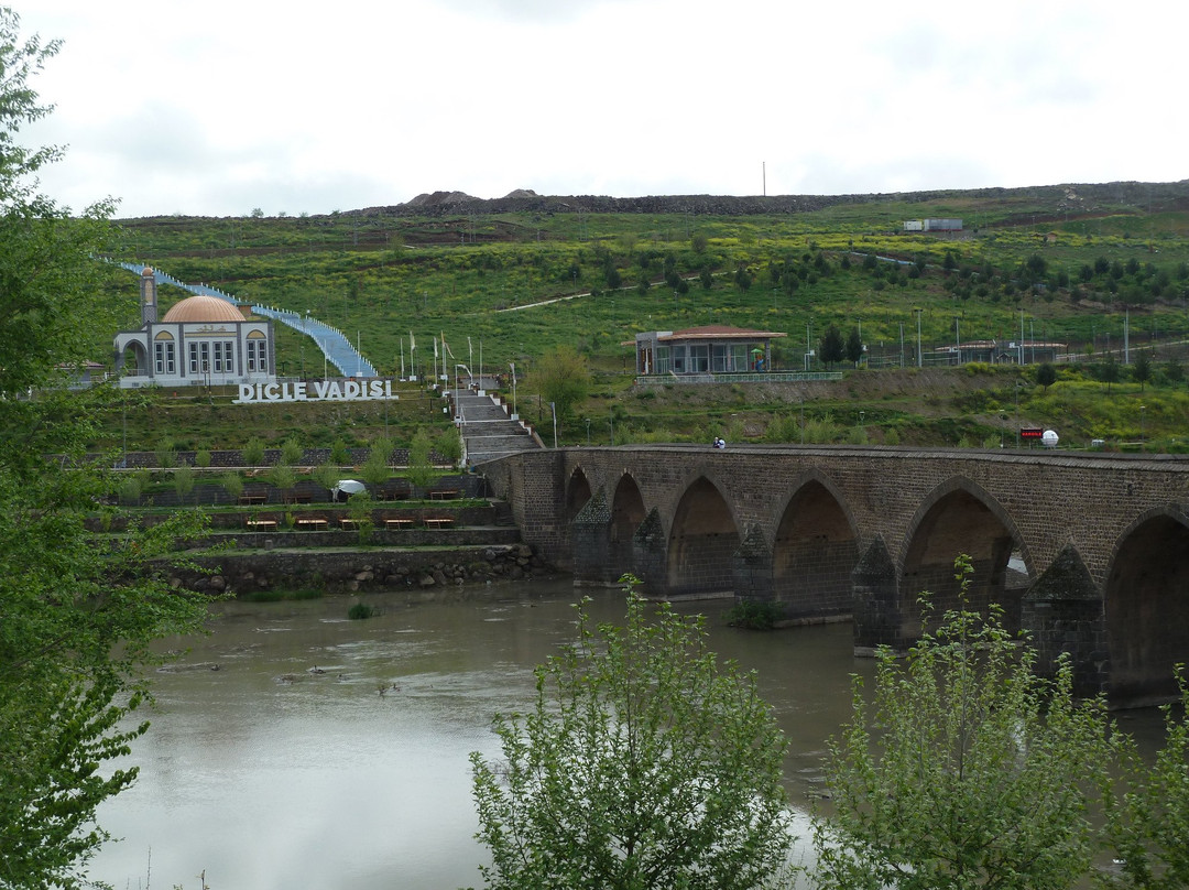 Hasankeyf Eski Köprü-Diyarbakir必去景点