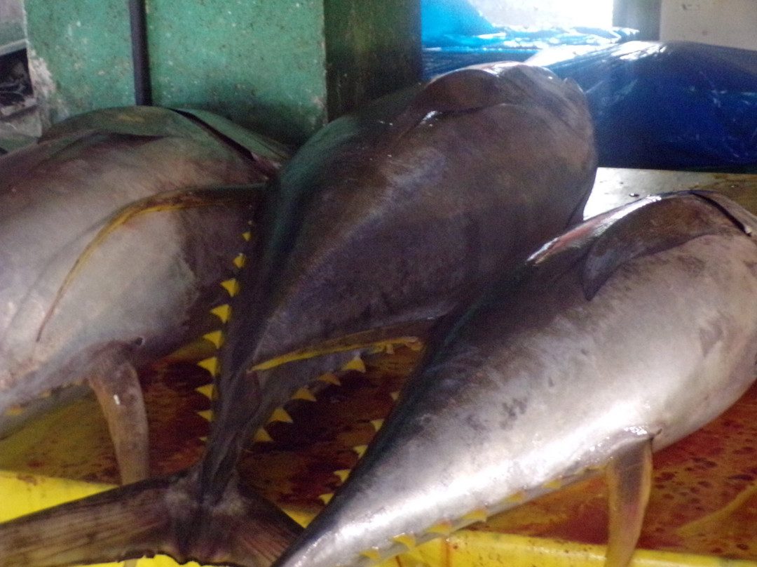 Bankerohan Public Market-达沃必去景点