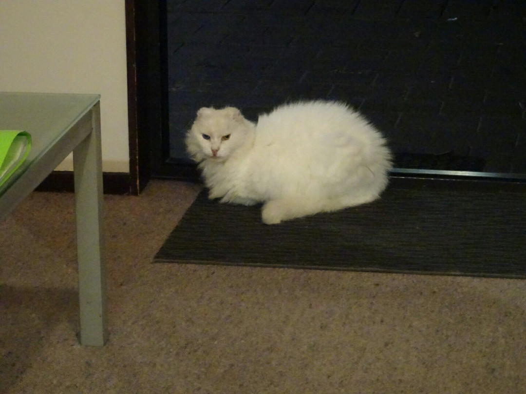 Riverside Motel主图